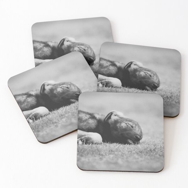 Item preview, Stray Puppy - Sleeping designed and sold by Neha  Gupta.