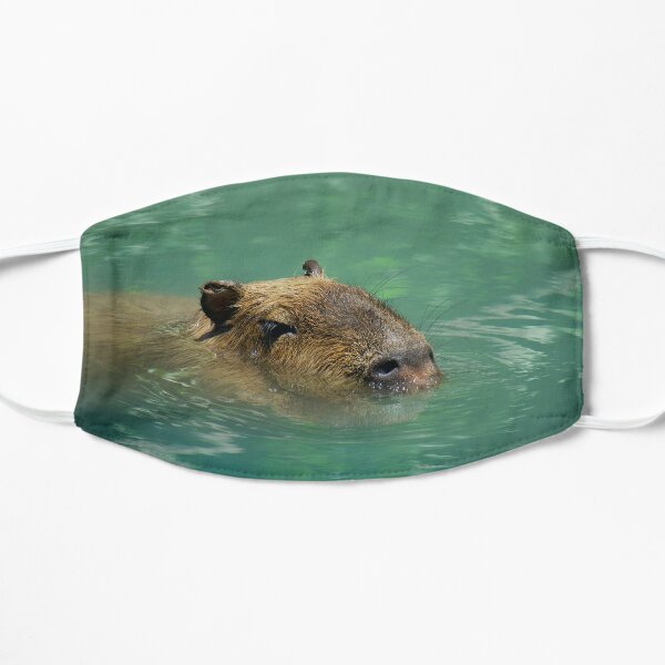 Beautiful Serene Capybara Flat Mask