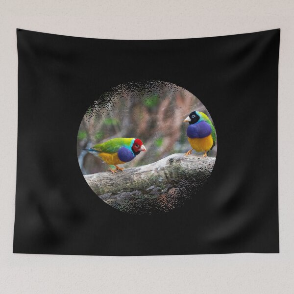 Item preview, Gouldian Finches | Bird Watching | Bird Watcher | Colorful Bird  designed and sold by StyleThePlanet.