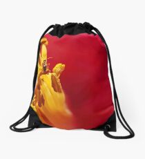 Precariously Purchased Drawstring Bag