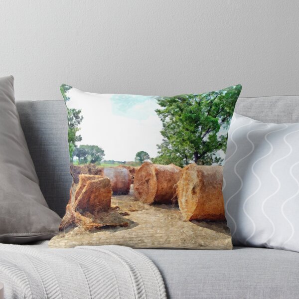 Aperçu de l'œuvre Hay bales créée et vendue par Giuseppe Cocco.