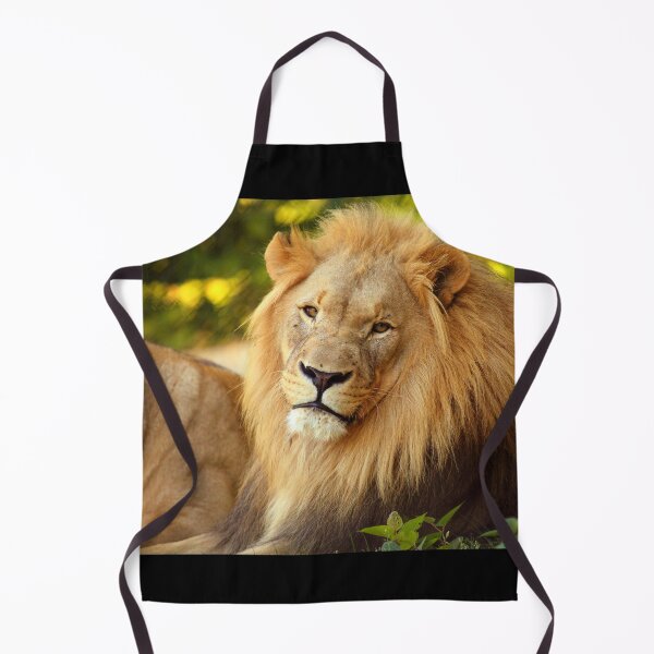 Item preview, Lion Gaze designed and sold by TVD-Photography.