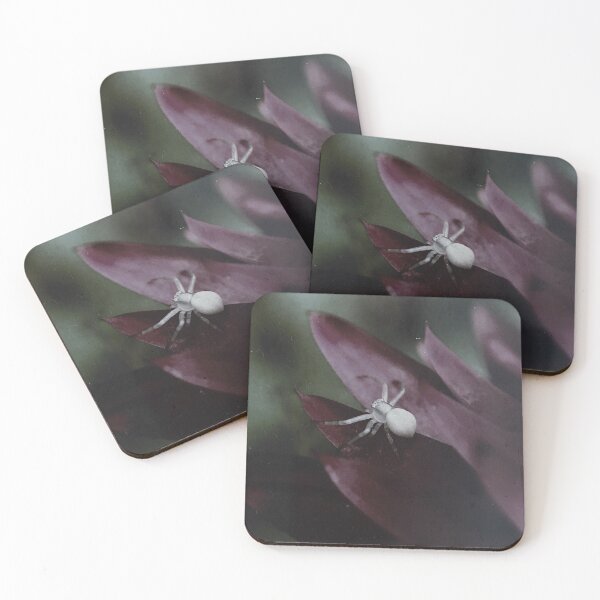 Item preview, Crab spider designed and sold by Duygu  Tasi.