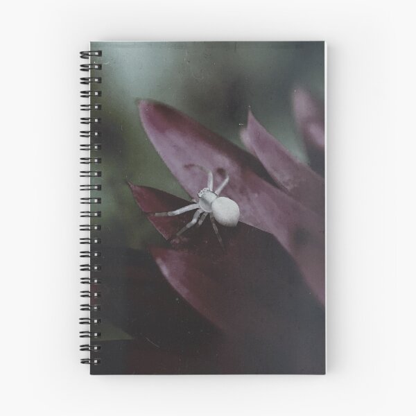 Item preview, Crab spider designed and sold by Duygu  Tasi.