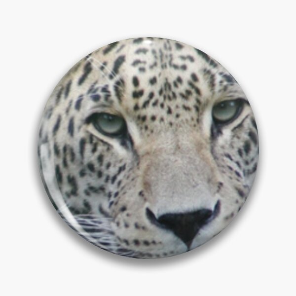 Item preview, *Tiger* designed and sold by Berezabella.