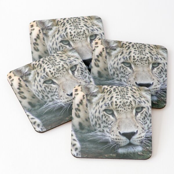 Item preview, *Tiger* designed and sold by Berezabella.