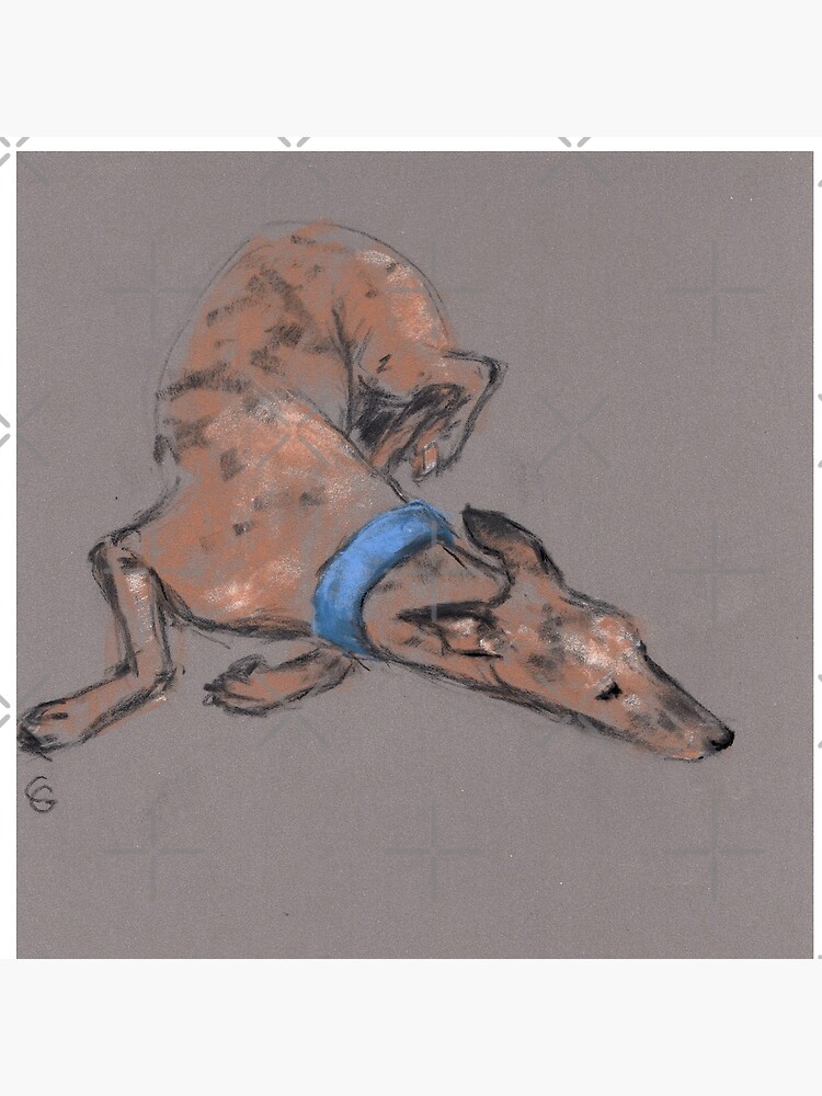 Sighthound in pastel chalk by lobitos