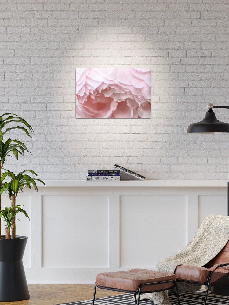 Thumbnail 1 of 4, Metal Print, Delicate pink rose detail designed and sold by AYatesPhoto.
