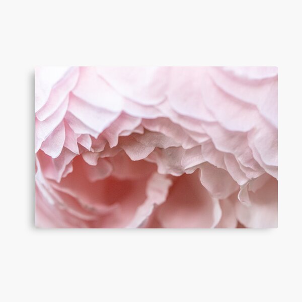 Metal Print