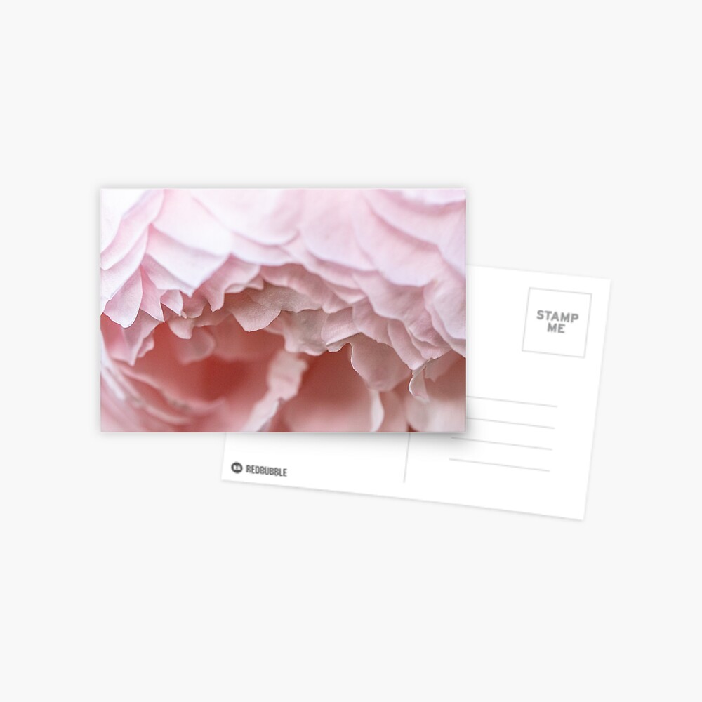 Item preview, Postcard designed and sold by AYatesPhoto.