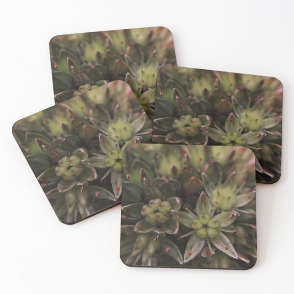 Item preview, Sedum designed and sold by Duygu  Tasi.