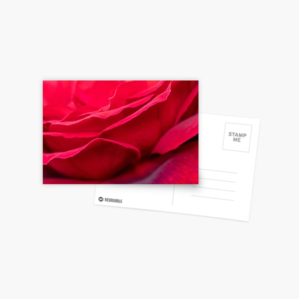 Item preview, Postcard designed and sold by AYatesPhoto.