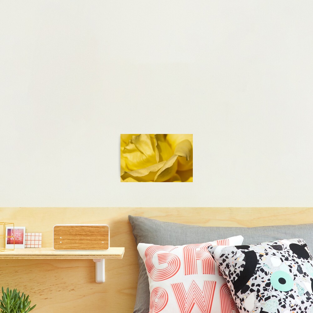 Item preview, Photographic Print designed and sold by AYatesPhoto.