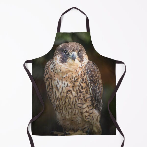 Item preview, Peregrine Falcon Bird of Prey Portrait designed and sold by Kipcio.