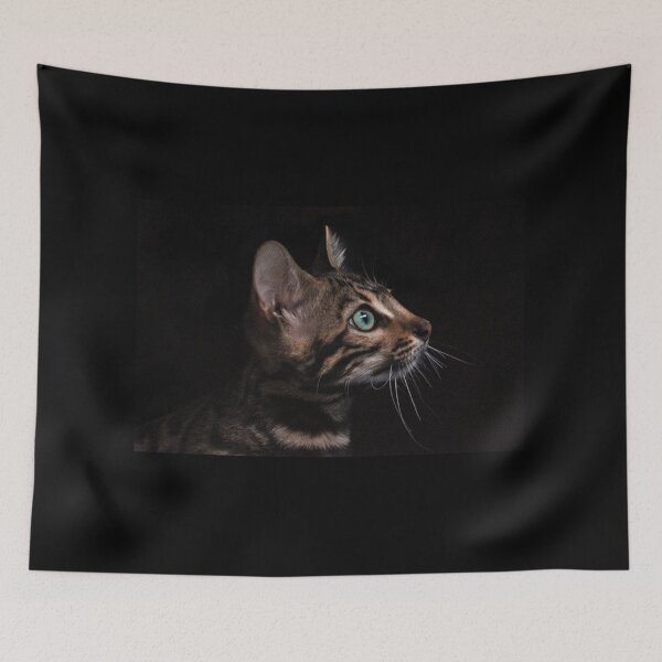 Item preview, Black street cat essential designs  designed and sold by Boss  Bubble.