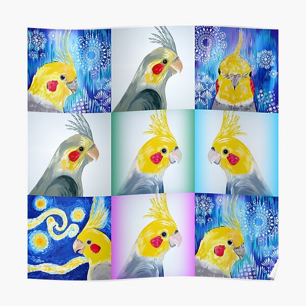 Cockatiel collage Poster