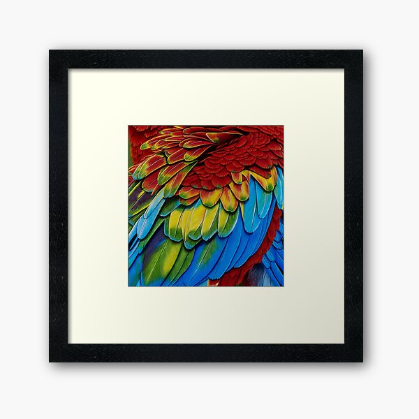 Macaw feathers 1 Framed Art Print