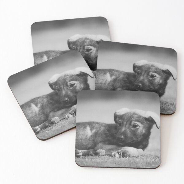 Item preview, Stray Puppy designed and sold by Neha  Gupta.