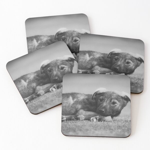 Item preview, Stray Puppy designed and sold by Neha  Gupta.
