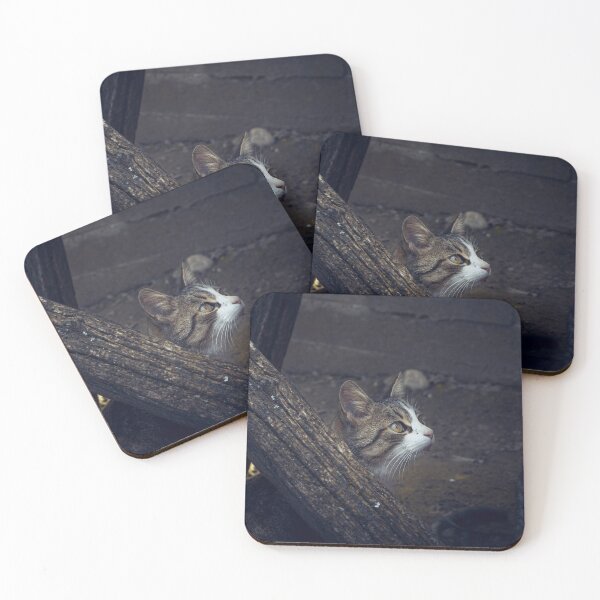 Item preview, Curios litte cat designed and sold by expresivedesign.