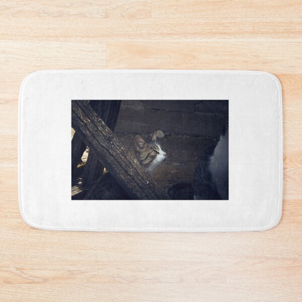 Item preview, Curios litte cat designed and sold by expresivedesign.