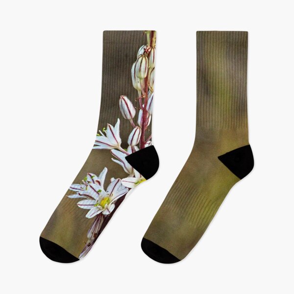 Item preview, Asphodel Mediterranean Wild Lilies Flowers designed and sold by Anna Lemos.
