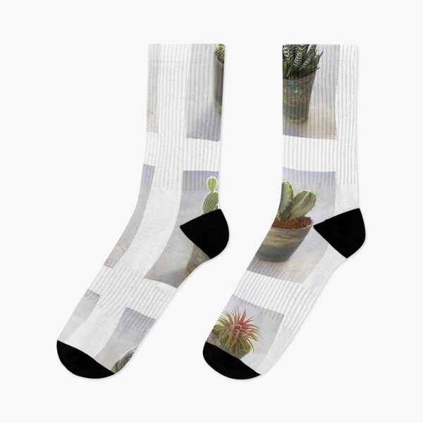 Item preview, Cacti and Succulent collection designed and sold by paulgrand.
