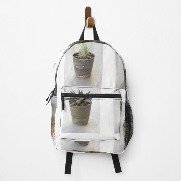 Item preview, Cacti and Succulent collection designed and sold by paulgrand.