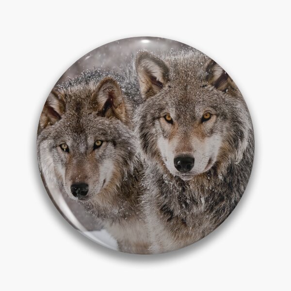 Item preview, Timber Wolves designed and sold by WolvesOnly.