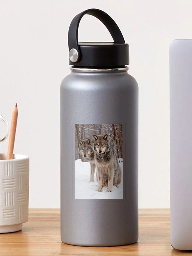 Thumbnail 1 of 3, Sticker, Timber Wolves designed and sold by WolvesOnly.