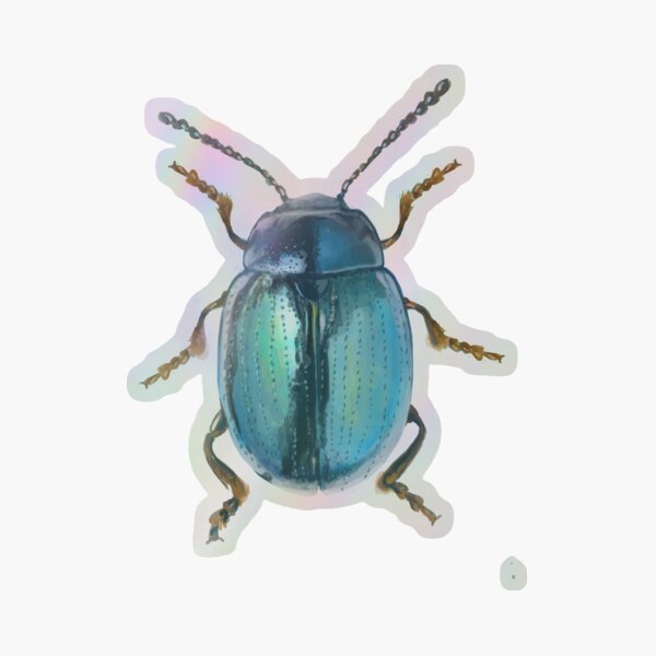 Item preview, Beetle designed and sold by dcrownfield.