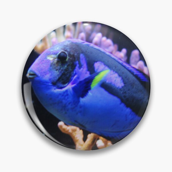 Item preview, Blue Hippo Tang designed and sold by Cynthia48.