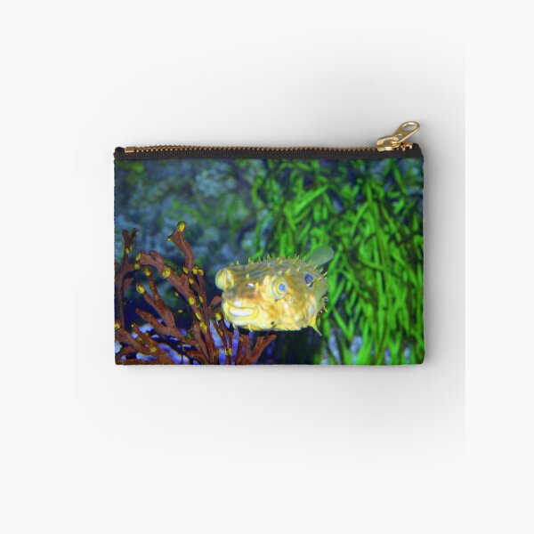 Item preview, Striped Burrfish designed and sold by Cynthia48.
