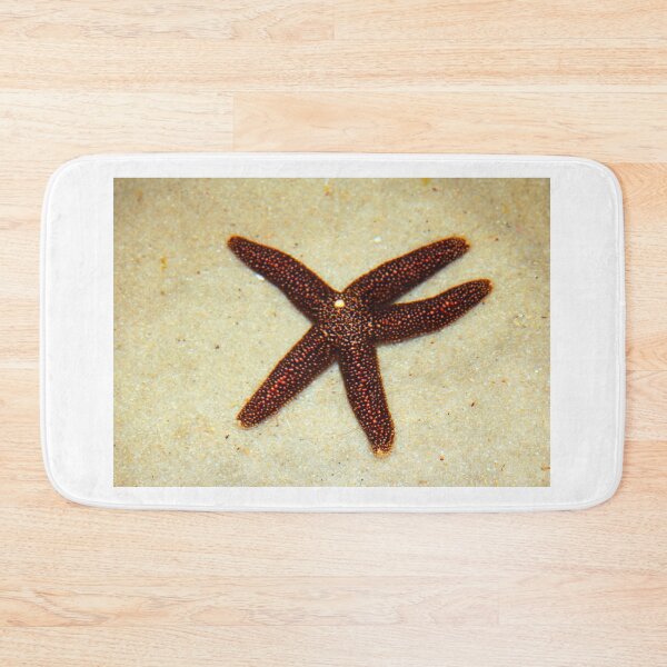Item preview, Sea Star designed and sold by Cynthia48.