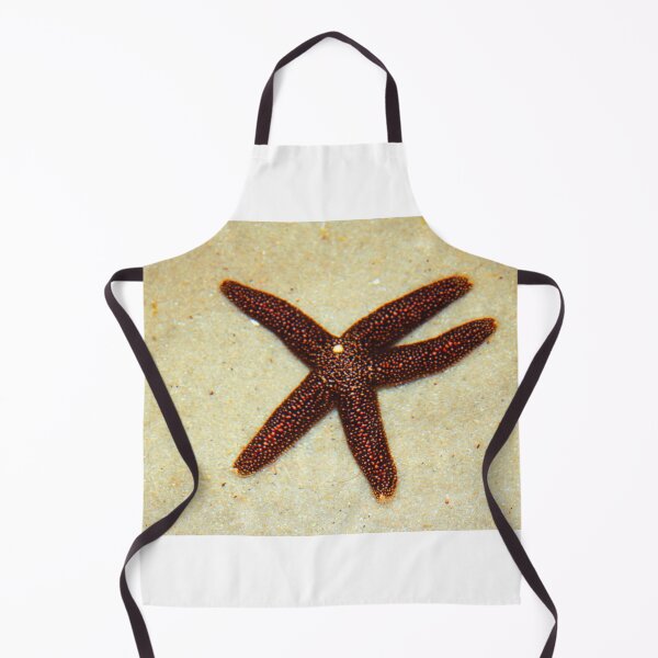 Item preview, Sea Star designed and sold by Cynthia48.