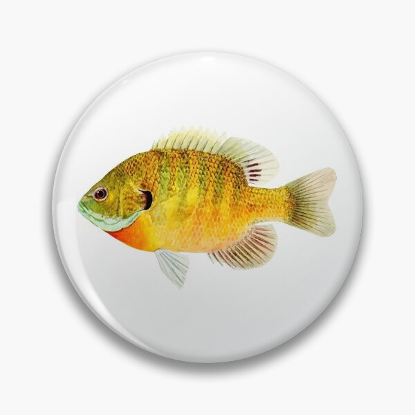 Item preview, Bluegill (Sunfish) designed and sold by Braxton Tanaka.