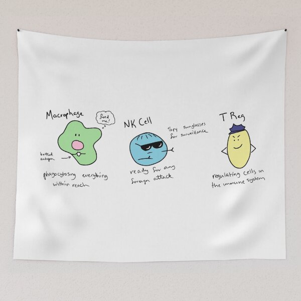 Item preview, Macrophage, NK cell, & T reg designed and sold by alexicat.