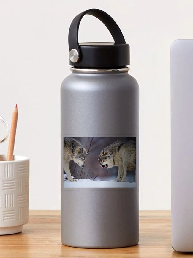 Thumbnail 1 of 3, Sticker, Timber Wolves designed and sold by WolvesOnly.