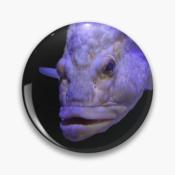 Item preview, Inner Fish designed and sold by Dead-Moroz.