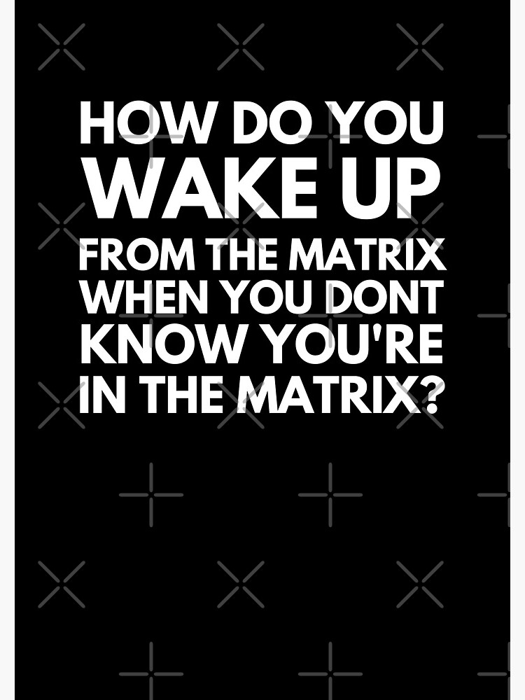 "How Do You Wake Up From The Matrix When You Don't Know You Are In The