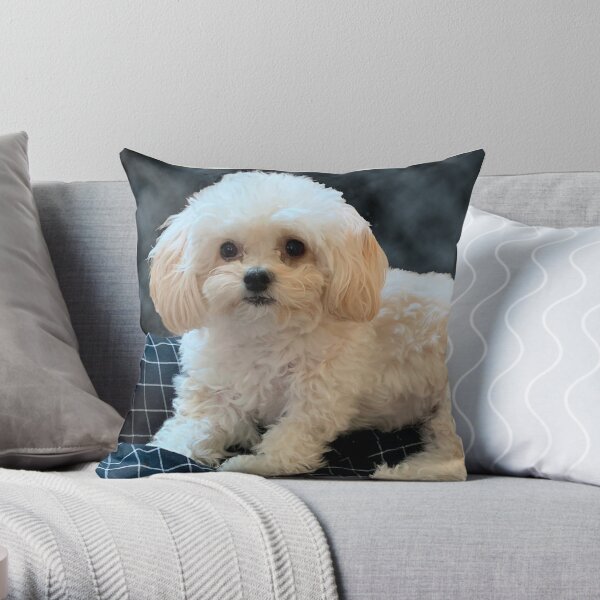 Dog pillows hot sale on sale