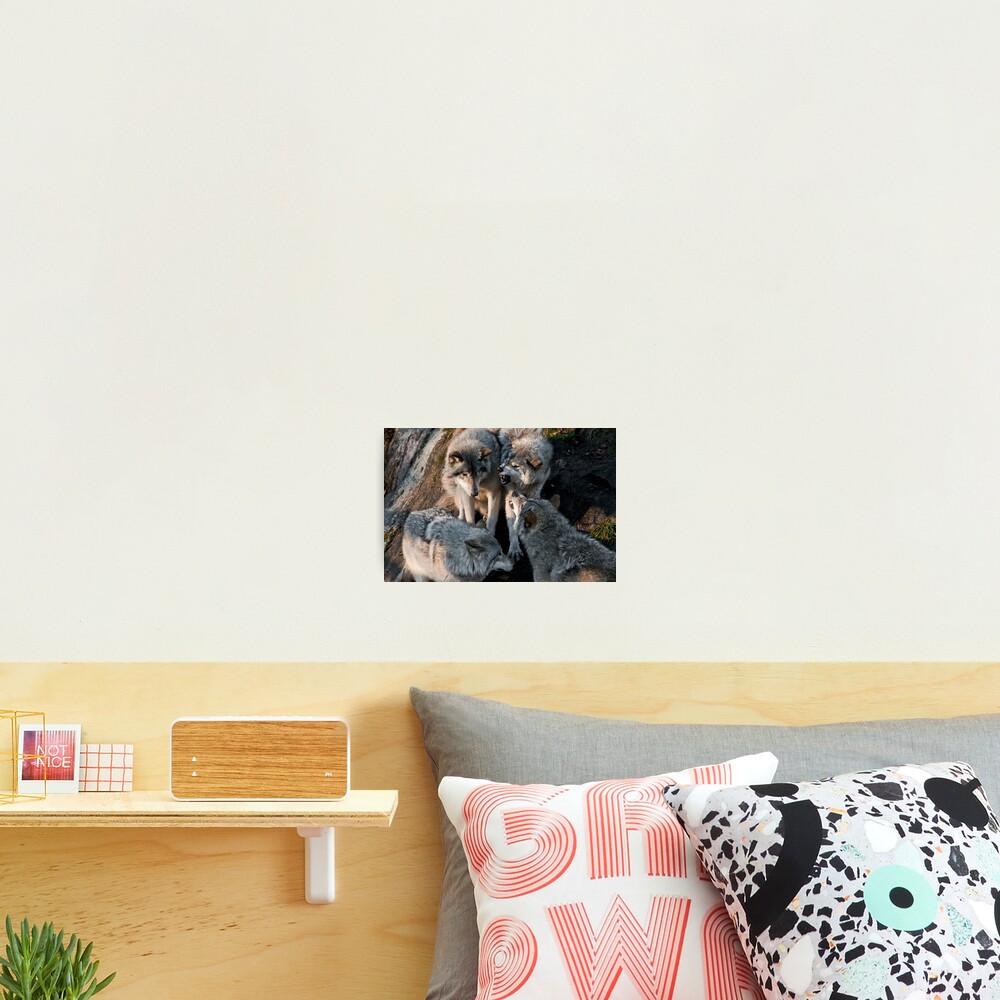 Item preview, Photographic Print designed and sold by WolvesOnly.