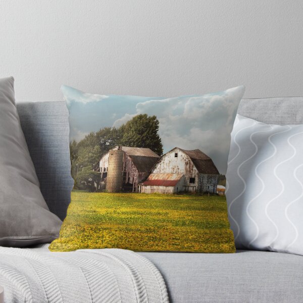 Item preview, Farm - Ohio - Broken dreams designed and sold by Mike Savad Photography.