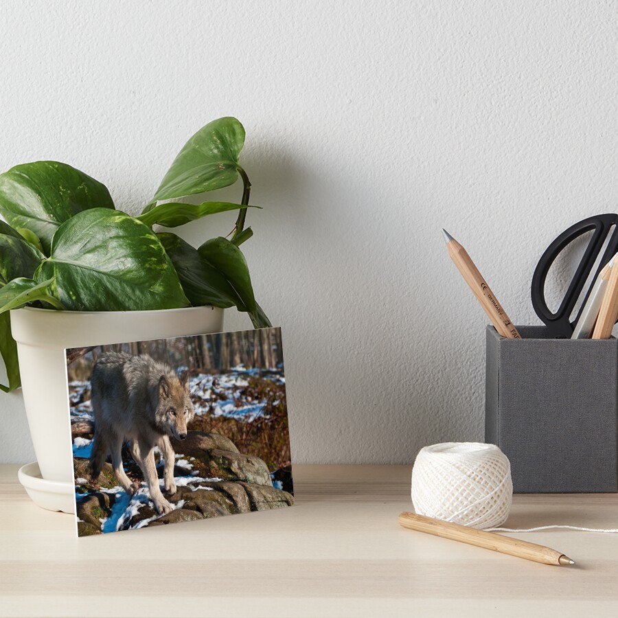 Vista previa del artículo con la obra «Lámina rígida», diseñado y vendido por WolvesOnly.