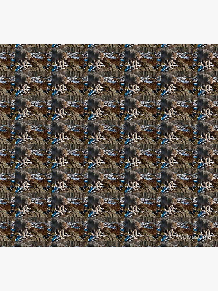 Thumbnail 5 of 5, Socks, Timber Wolf designed and sold by WolvesOnly.