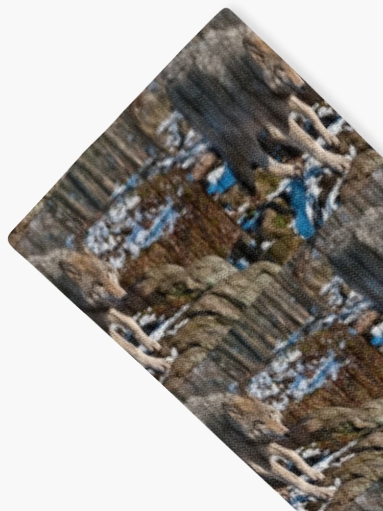 Thumbnail 2 of 5, Socks, Timber Wolf designed and sold by WolvesOnly.