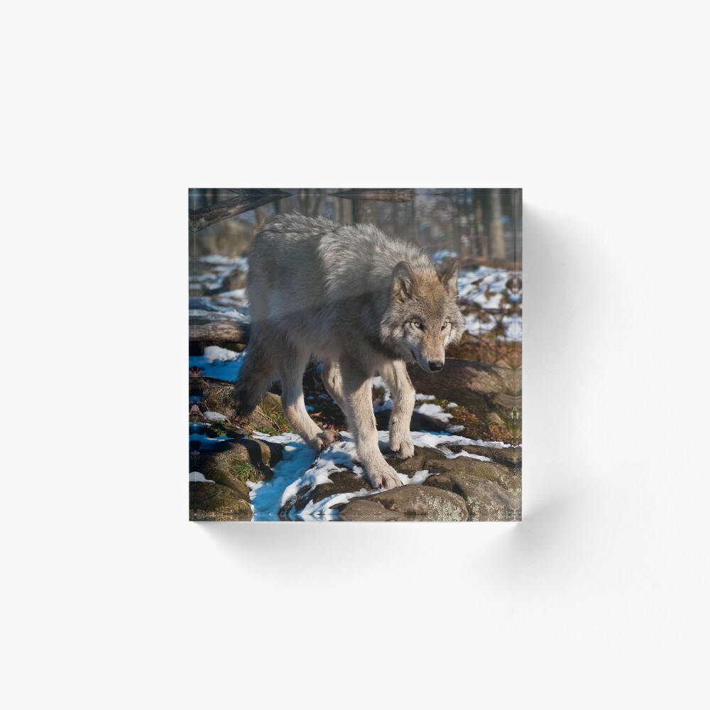 Artikel-Vorschau von Acrylblock, designt und verkauft von WolvesOnly.