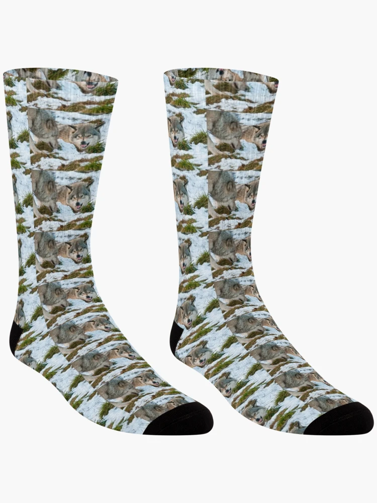 Thumbnail 3 of 5, Socks, Timber Wolves designed and sold by WolvesOnly.