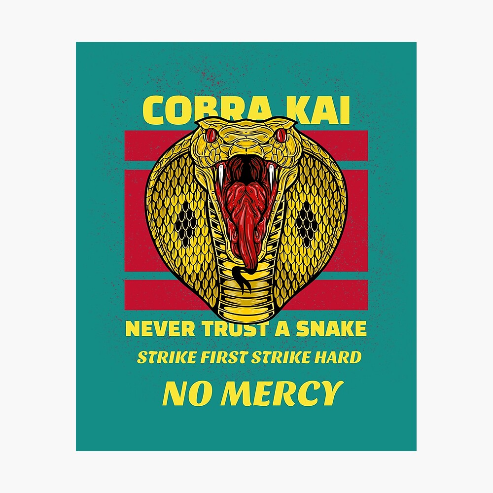 Boy's Cobra Kai Metal Snake Logo T-shirt - Black - X Small : Target