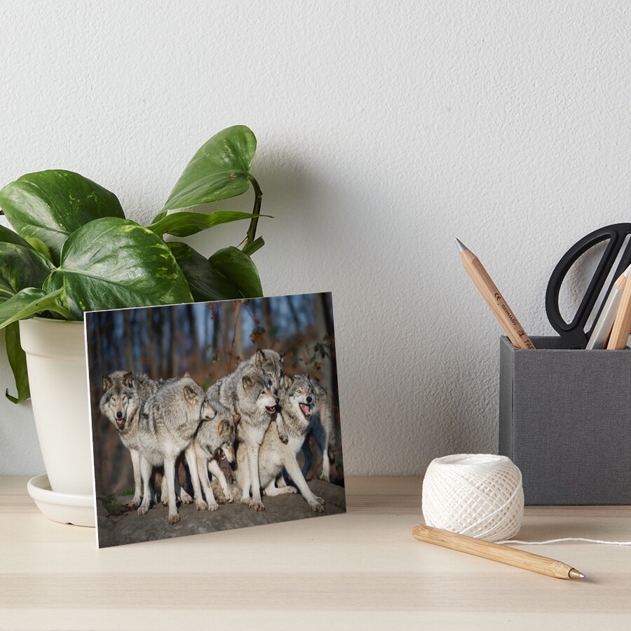 Artikel-Vorschau von Galeriedruck, designt und verkauft von WolvesOnly.
